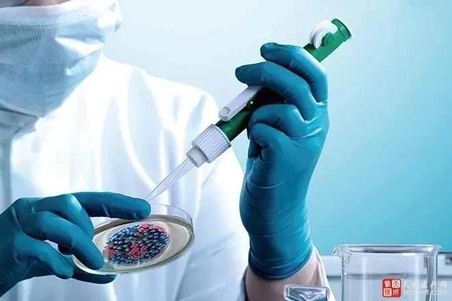 【原创】谁将成为医药冷链主力军? 2 【原创】谁将成为医药冷链主力军?