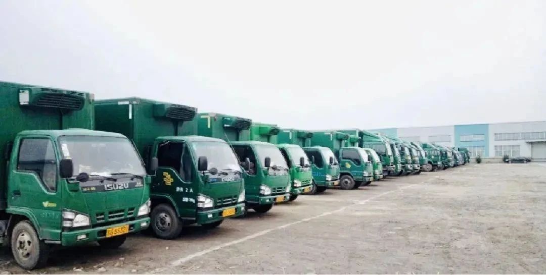 【原创】谁将成为医药冷链主力军? 5 【原创】谁将成为医药冷链主力军?