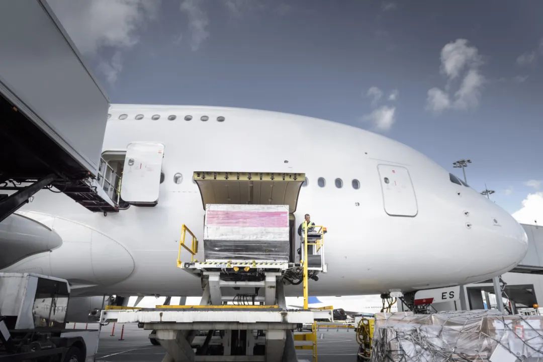 国际航协2025年1月航空货运市场数据