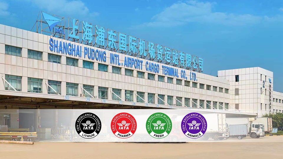 PACTL取得IATA CEIV四大类别认证