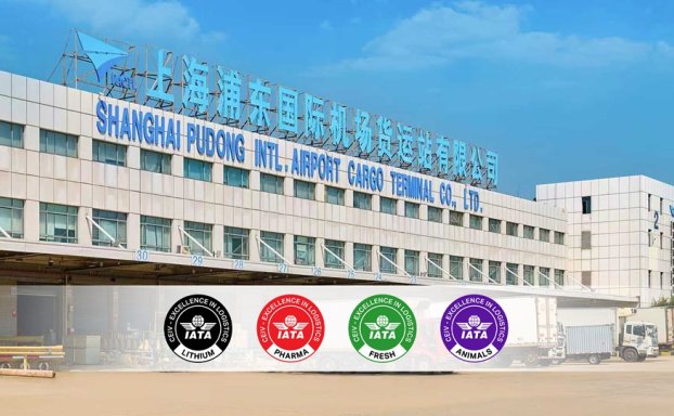 PACTL取得IATA CEIV四大类别认证